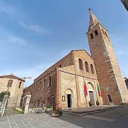 Il Guscio Grado